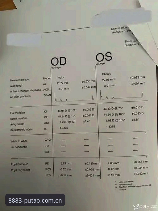 新葡萄8883赌场资源 新葡萄8883国际版深度评测:老用户眼中的稳定与便捷体验报告